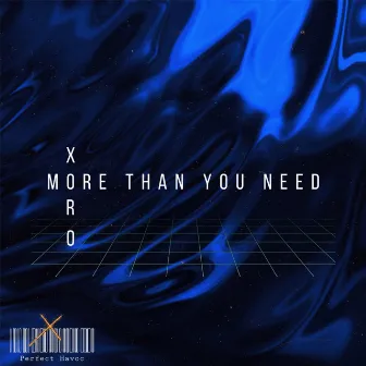 More Than You Need by Xoro