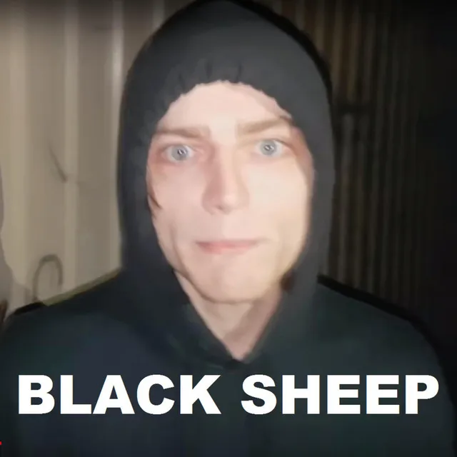 Black Sheep