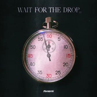 Wait For The Drop by Bayer & Waits