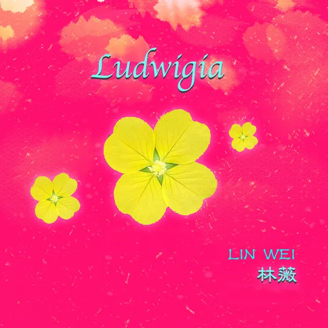 Ludwigia