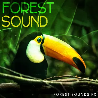 Forest Sound by Forest Sounds FX