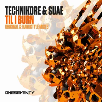 Til I Burn by Suae