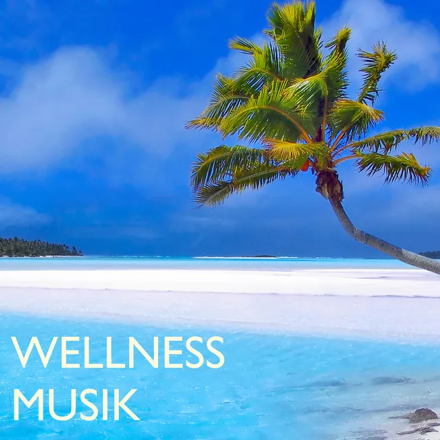 Wellness Musik: Entspannungsmusik und Hintergrundmusik zum Nachdenken & Schlafen im Eco Spa