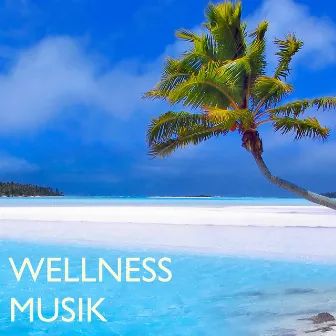 Wellness Musik: Entspannungsmusik und Hintergrundmusik zum Nachdenken & Schlafen im Eco Spa by Entspannungsmusik Meer