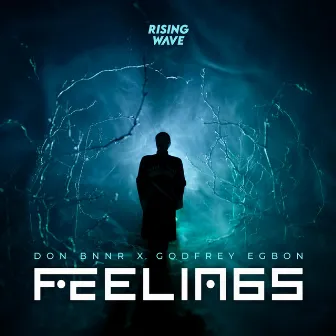 Feelings by Godfrey Egbon