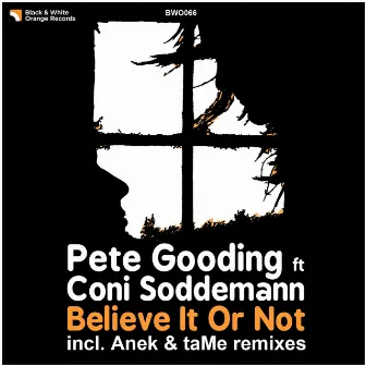 Believe It or Not (feat. Coni Soddemann) by Pete Gooding