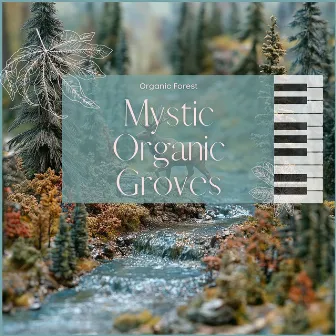 Mystic Organic Groves by Organic Forest