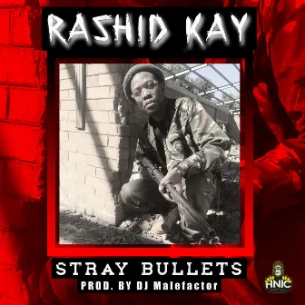 Stray Bullets by Rashid Kay