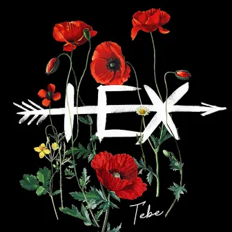 Tebe by Hex