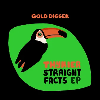 Straight Facts EP by THYKIER