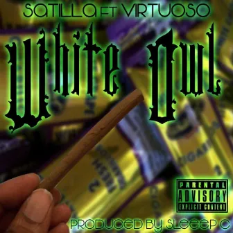 White owl by Satilla Sts