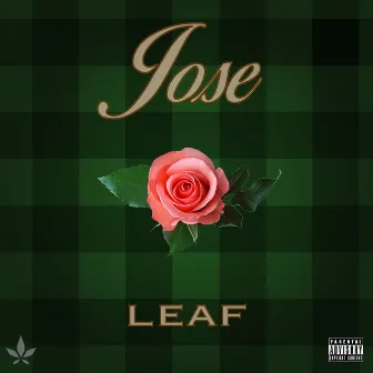 Jose by Leaf