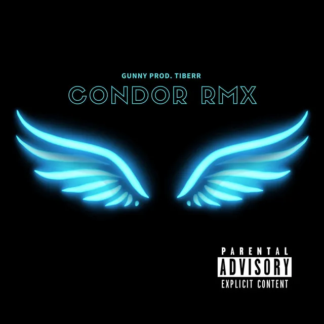 Condor Rmx