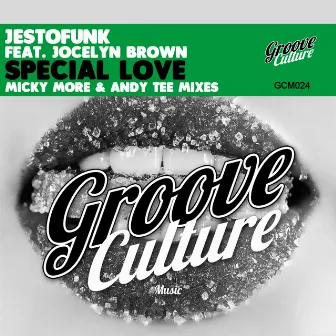 Special Love (Micky More & Andy Tee Mixes) by Jestofunk