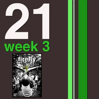 21 Weeks: Week 3: Firefly by Hanifah Walidah