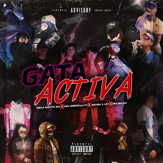 Gata activa by Pks inmortality