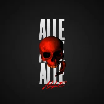 Alle by Alle