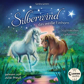 Silberwind, das weiße Einhorn (Band 4) - Sturmwolkes Geheimnis [Begleite das Einhorn Silberwind auf seinen Abenteuern] by Silberwind, das weiße Einhorn