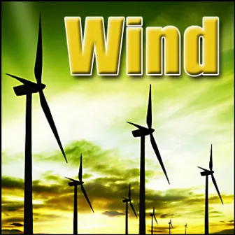 Wind: Sound Effects by Sound Effects Library