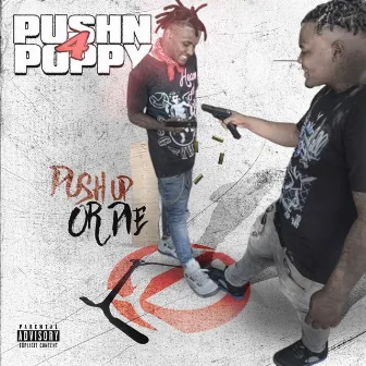 PUSHN4POPPY by Phazzoo