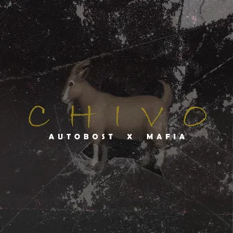 Chivo by AutoBost