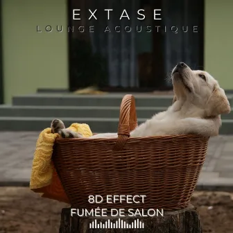 Extase (Lounge Acoustique) by Fumée De Salon