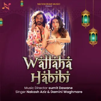 Wallaha Habibi by Damini waghmare