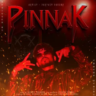 Pinnak by perfact pandey