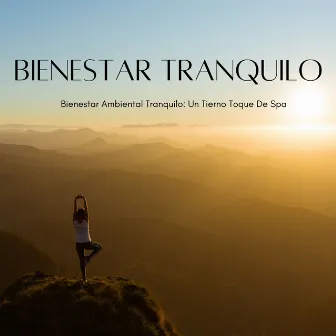 Bienestar Ambiental Tranquilo: Un Tierno Toque De Spa by Música y sonidos de spa