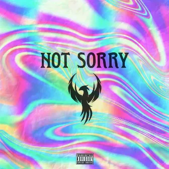 Not Sorry by Bowdizz