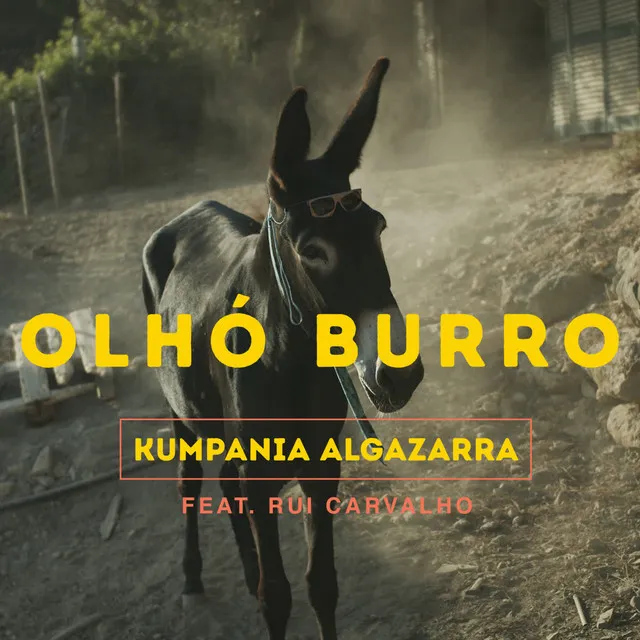 Olhó Burro