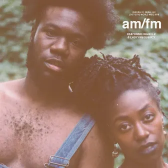 AM FM by Emmitt James