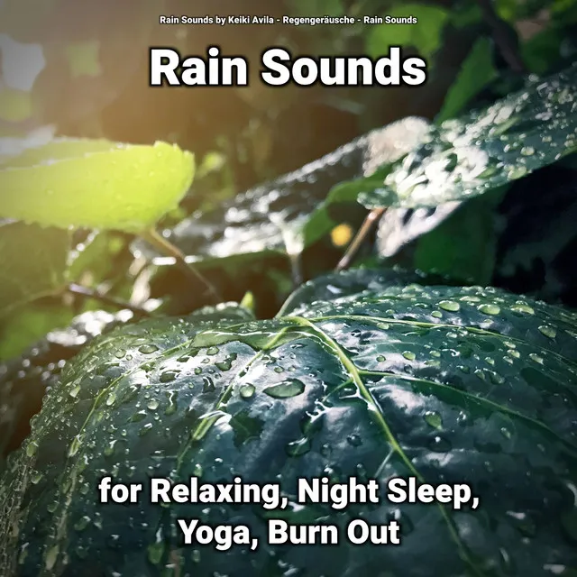 Rain Sounds Pt. 2