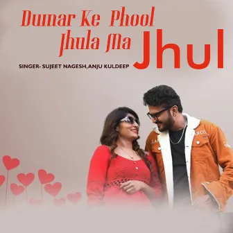 Dumar Ke Phool Jhula Ma Jhul by Anju Kuldeep