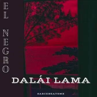 Dalái Lama by El Negro TCT