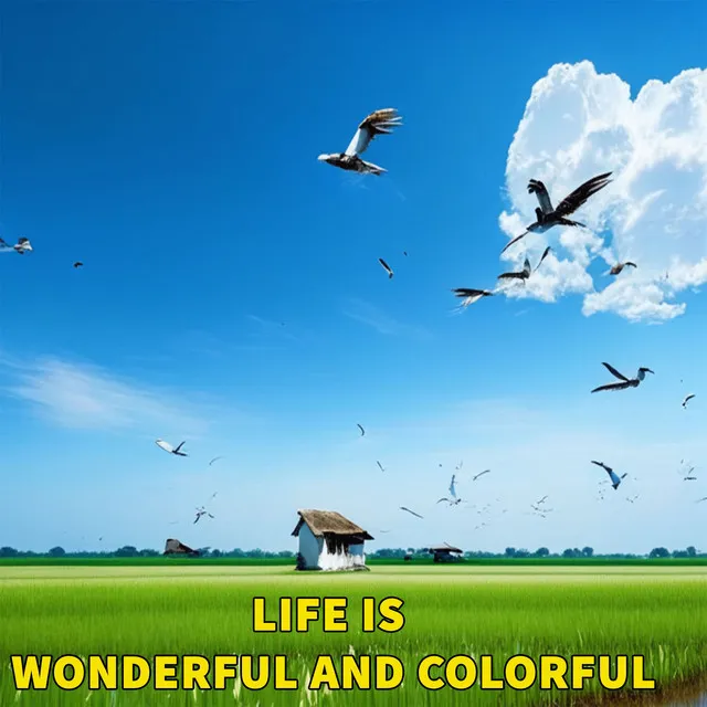 Life Is Wonderful And Colorful