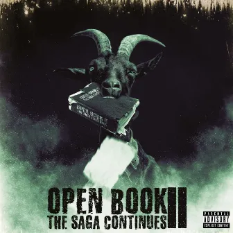 Open Book II The Saga Continues by Randell Green