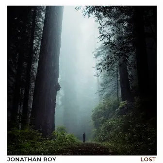 Lost by Jonathan Roy