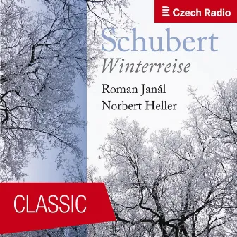 Schubert: Winterreise by Roman Janál