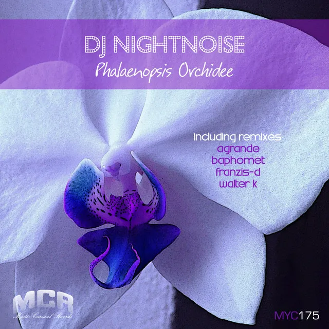 Phalaenopsis Orchidee - Agrande Remix