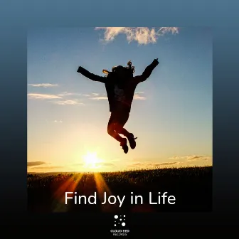 Find Joy in Life by Gentle Souls