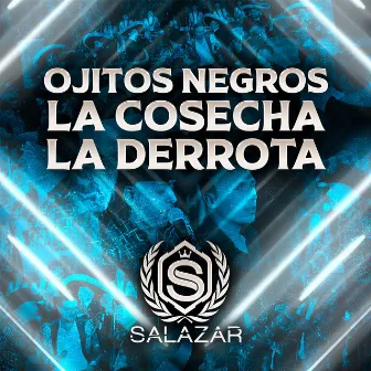 Ojitos Negros, la Cosecha, la Derrota by Jr Salazar