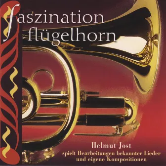 Faszination Flügelhorn by Helmut Jost