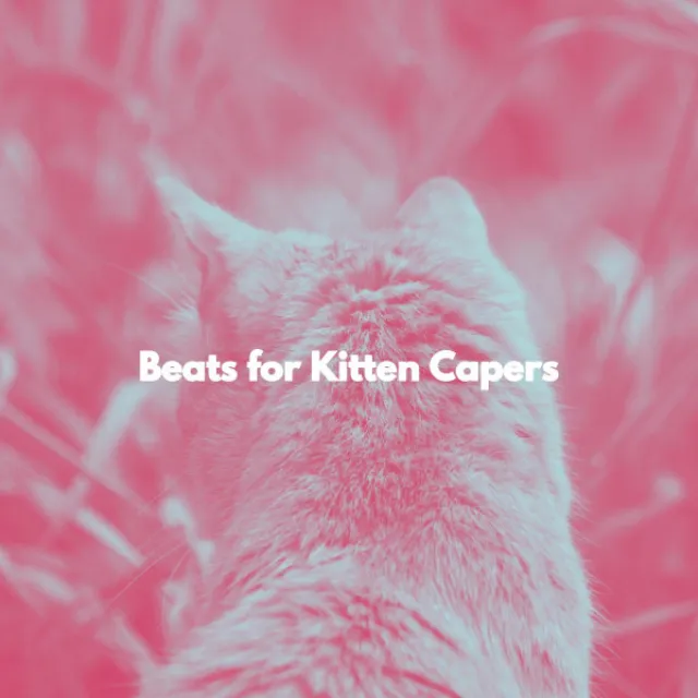 Beats for Kitten Capers