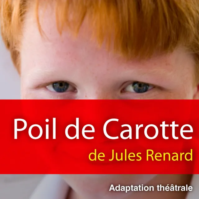 Chapter 1.13 - Poil de carotte