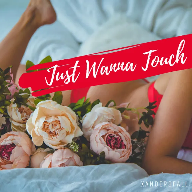 Just Wanna Touch