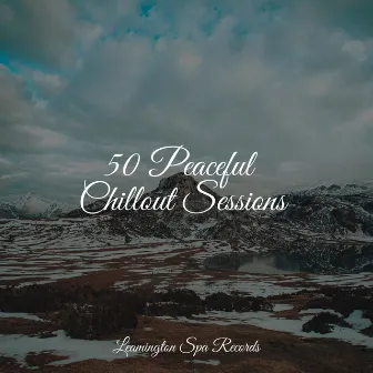 50 Peaceful Chillout Sessions by Massagem