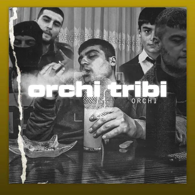 Orchi Tribi