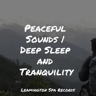 Peaceful Sounds | Deep Sleep and Tranquility by Regen