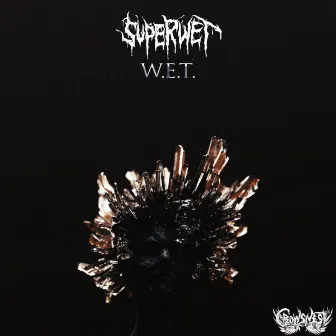 W.E.T. by Superwet